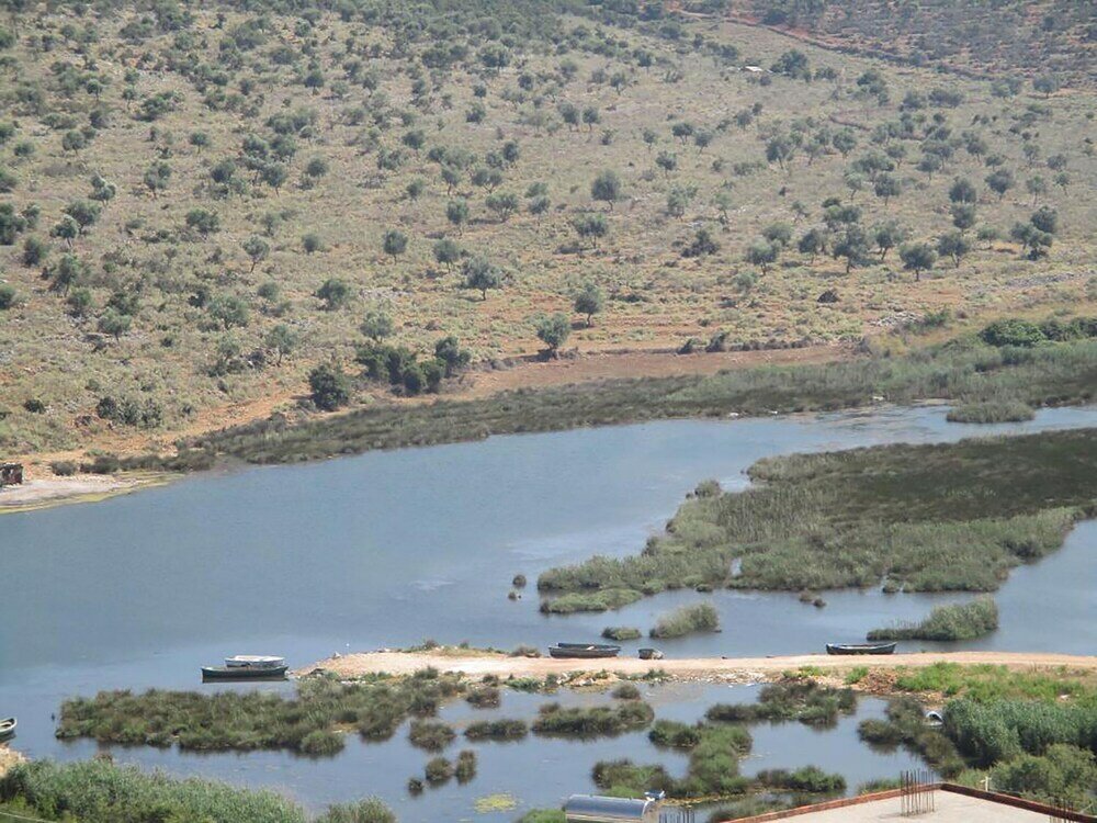 Фото Hotel Sunshine