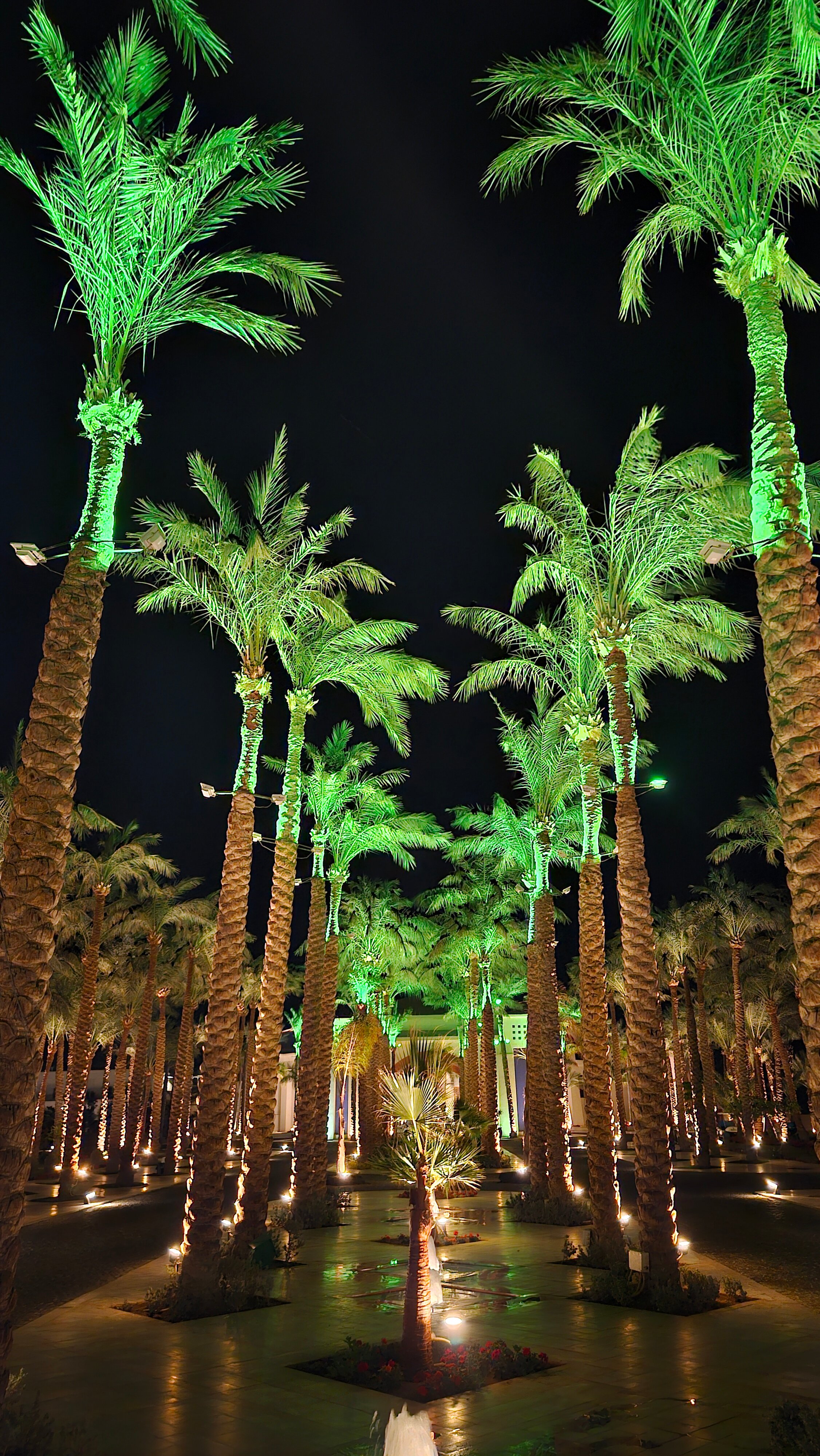 Фото Coral Beach Resort Tiran