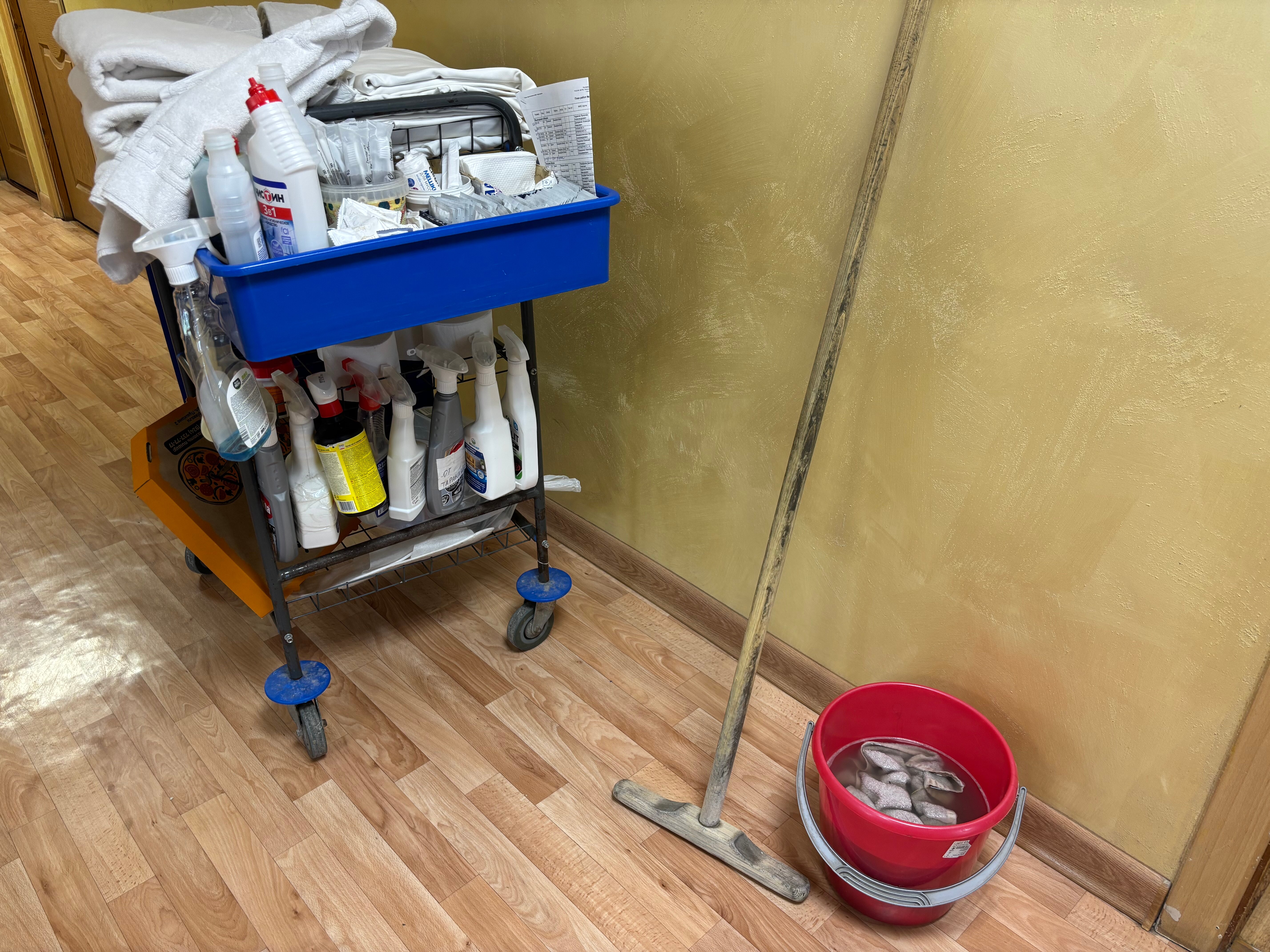 Фото Светлана