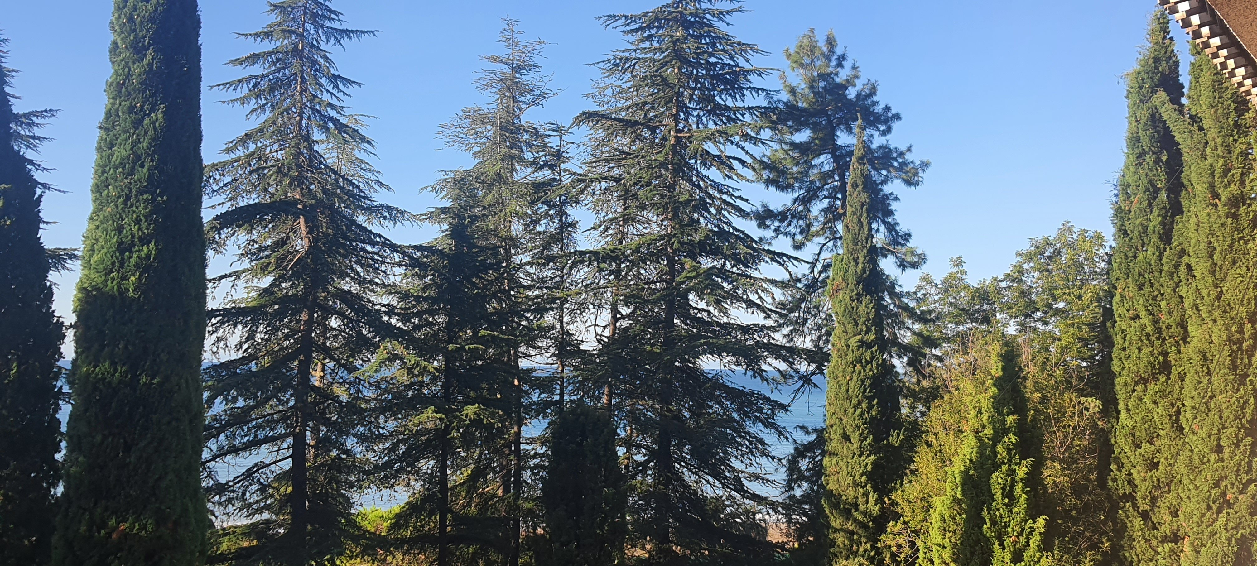 Фото Пансионат Гагра