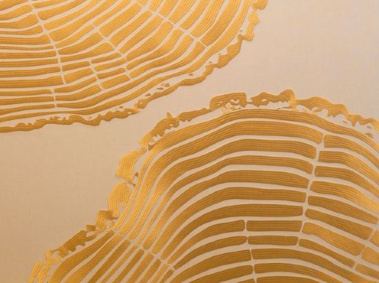 Фото Melia Chongqing