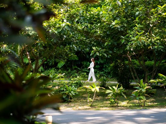 Фото Magachabaru Okinawa