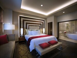 Гостиница Seminole Hard Rock Hotel & Casino Tampa