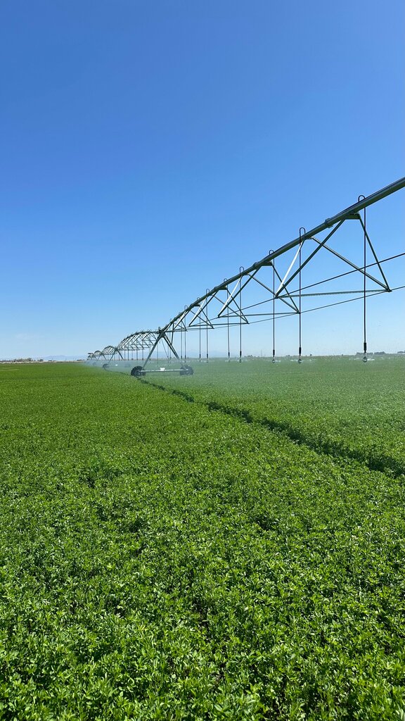 Fodder and feed additives AgroMax, Almaty, photo