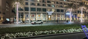 Iran Zamin (Boulevard Central, Downtown Dubai, Dubai), restaurant