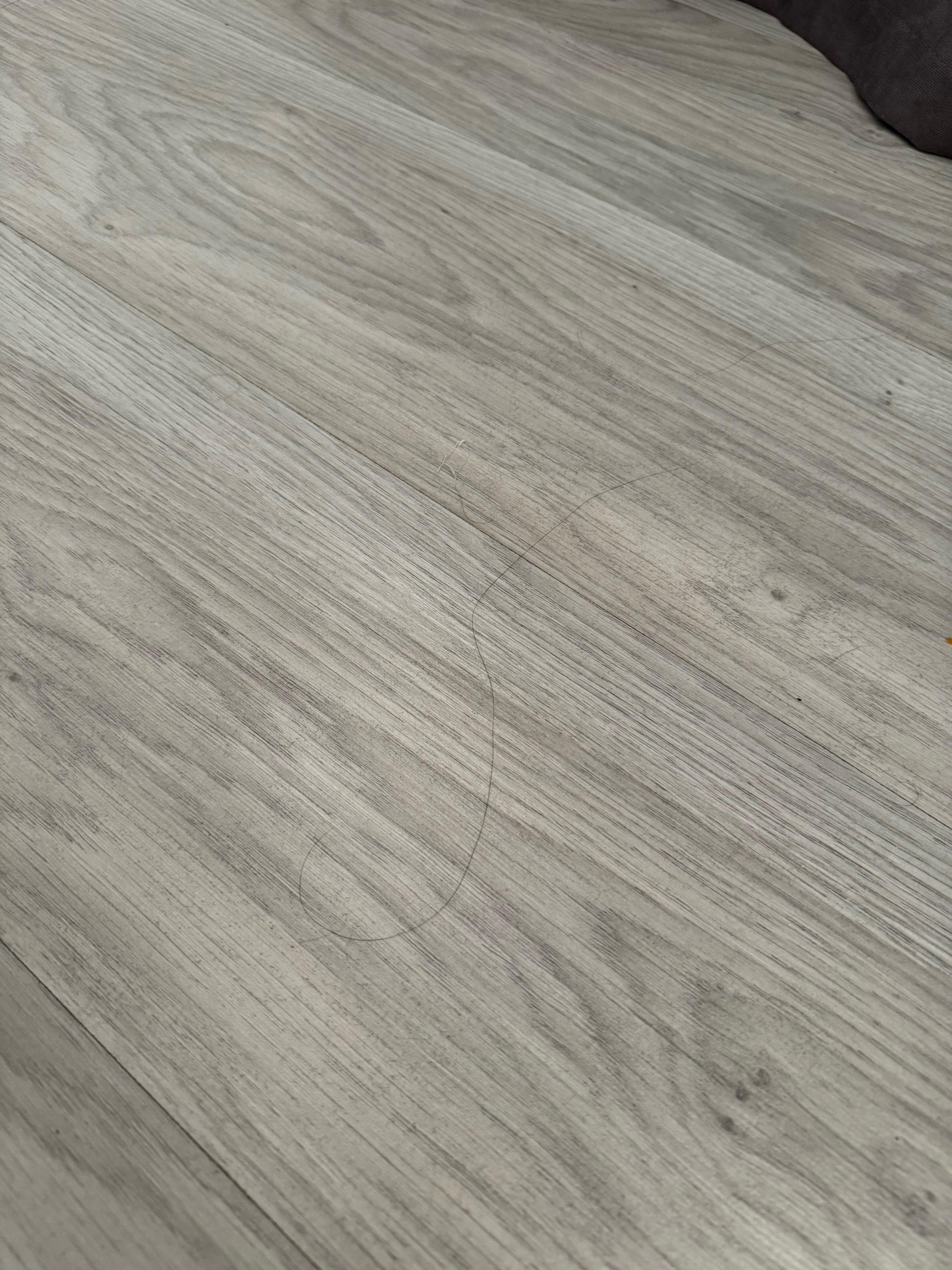 Фото The Friends