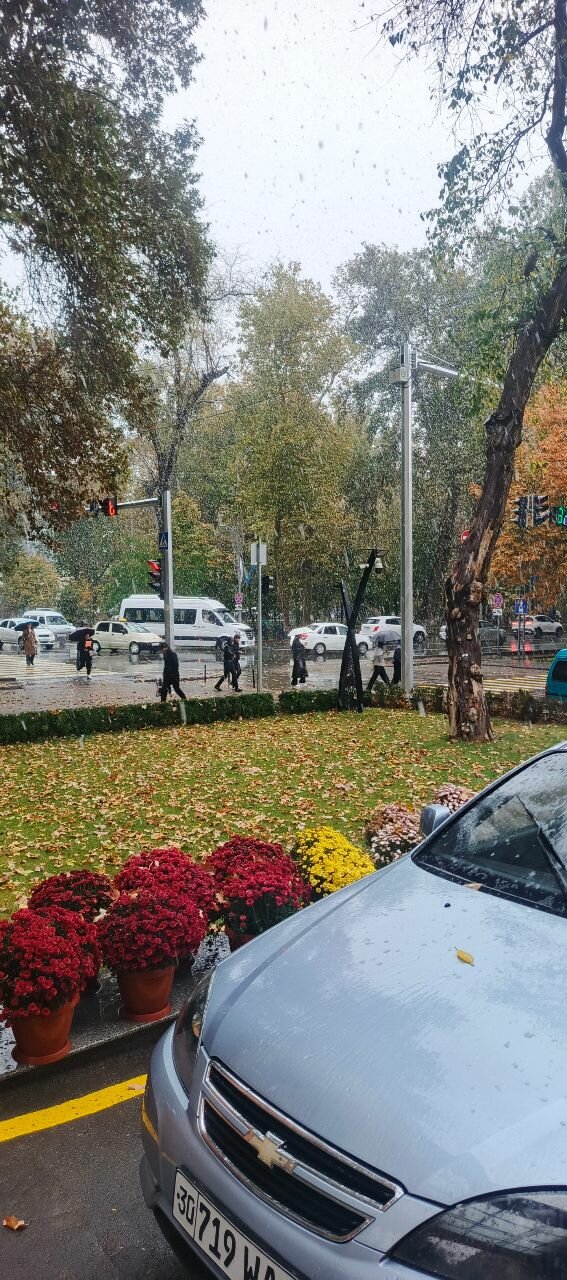 Фото Grand Plaza Hotel Samarkand