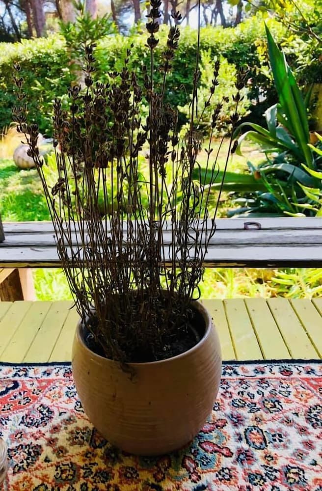 Фото La Casa di Nataly