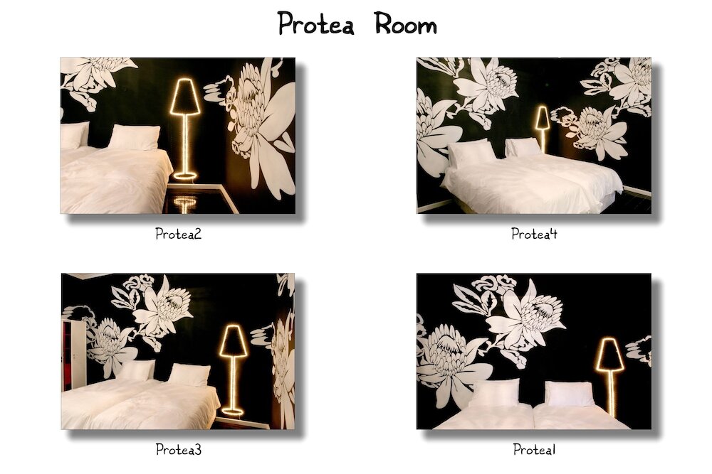 Фото Daddy Long Legs Art Hotel