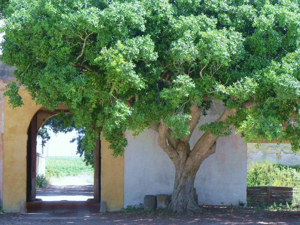 Фото Baglio Spanò