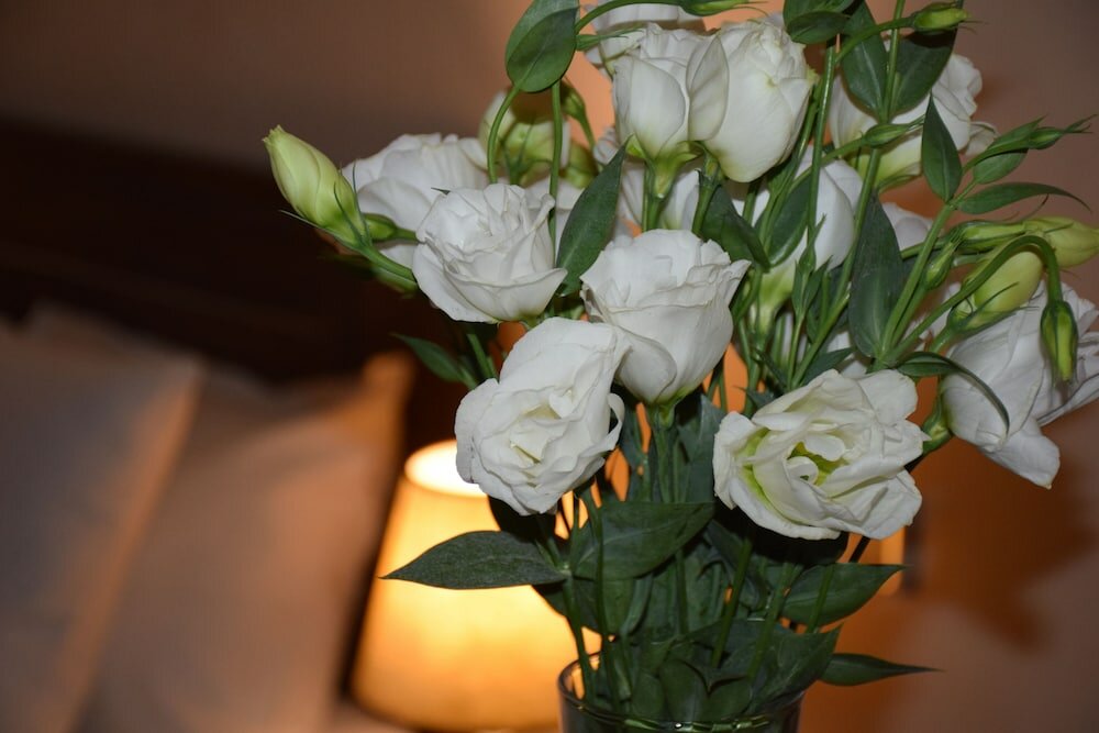 Фото Миа Каса