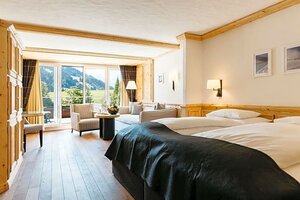 Ermitage Wellness & Spa Hotel (Bern, Saanen, Dorfstrasse), hotel