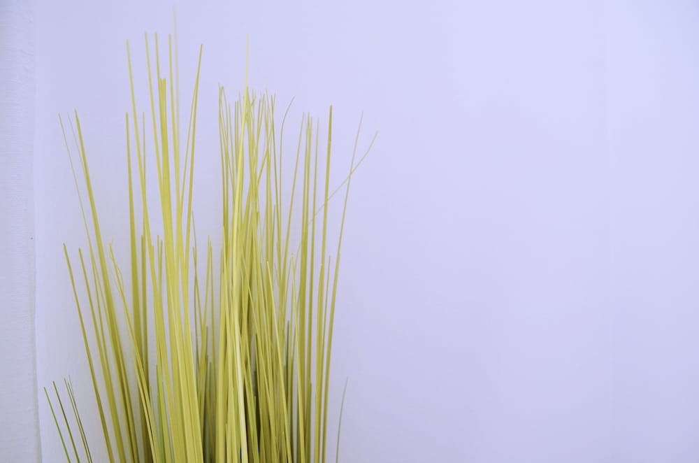 Фото La Maison du Lierre