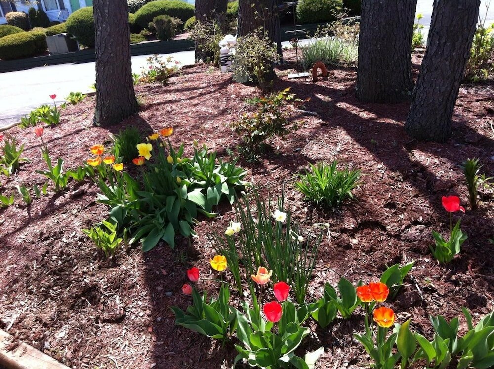 Фото Founder's Brook Motel and Suites