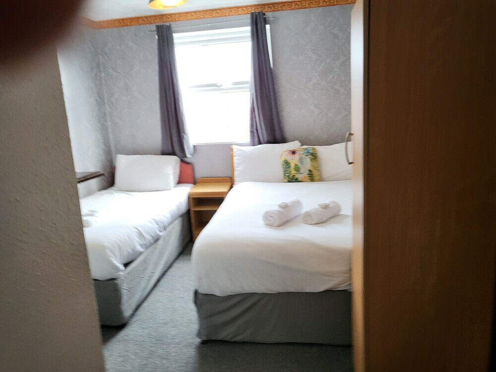 Фото Tulip Hotel