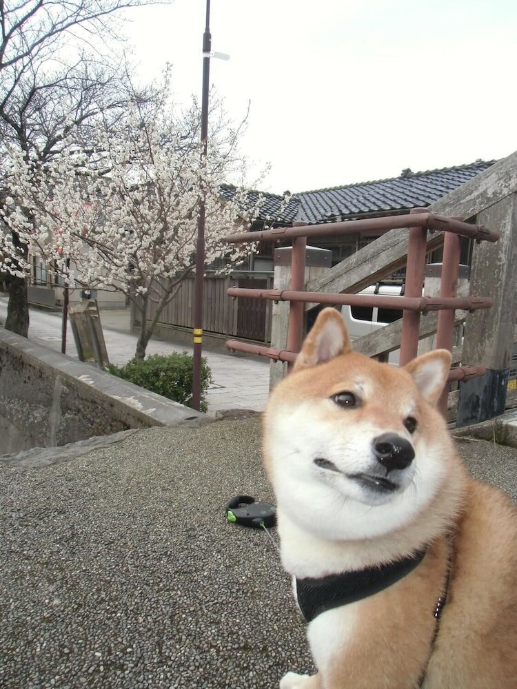 Фото Kanazawa Share House GAOoo