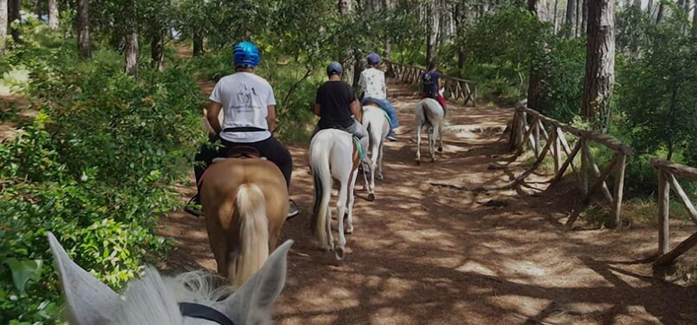 Фото Masseria San Michele