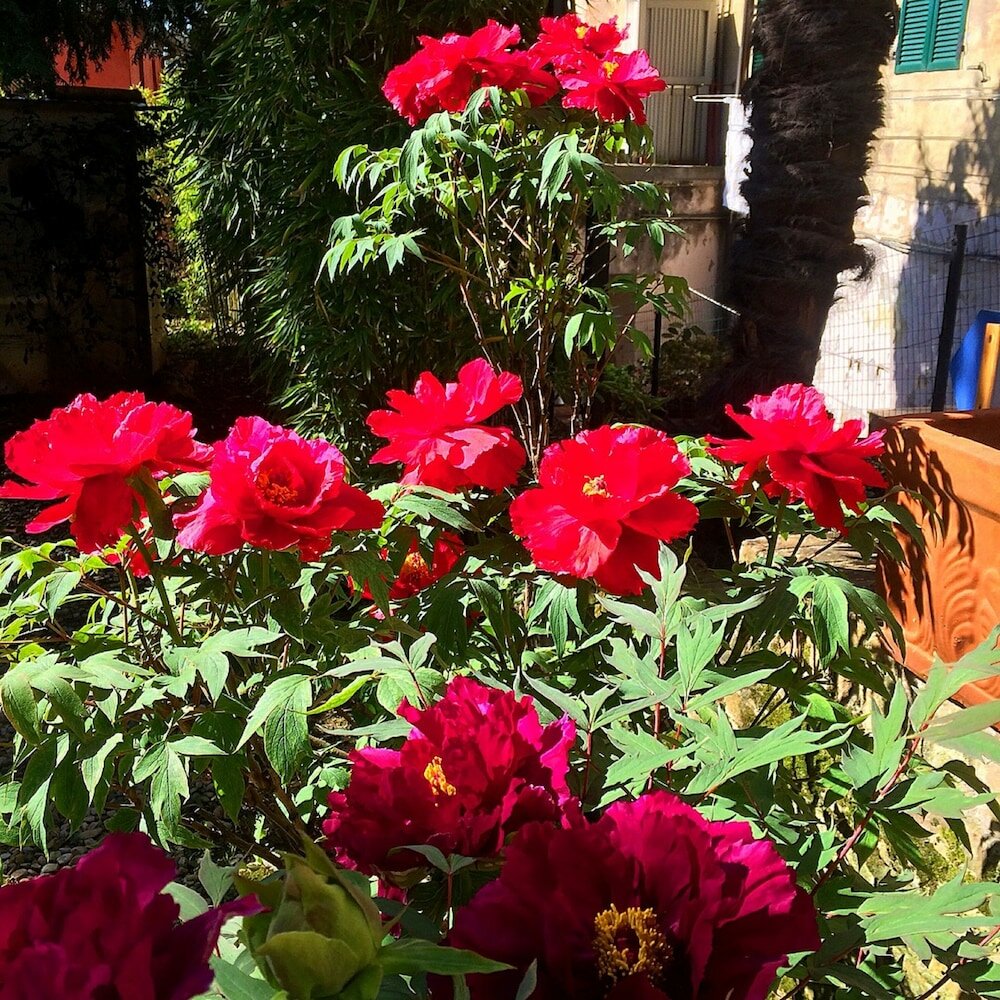 Фото Hotel Santa Caterina