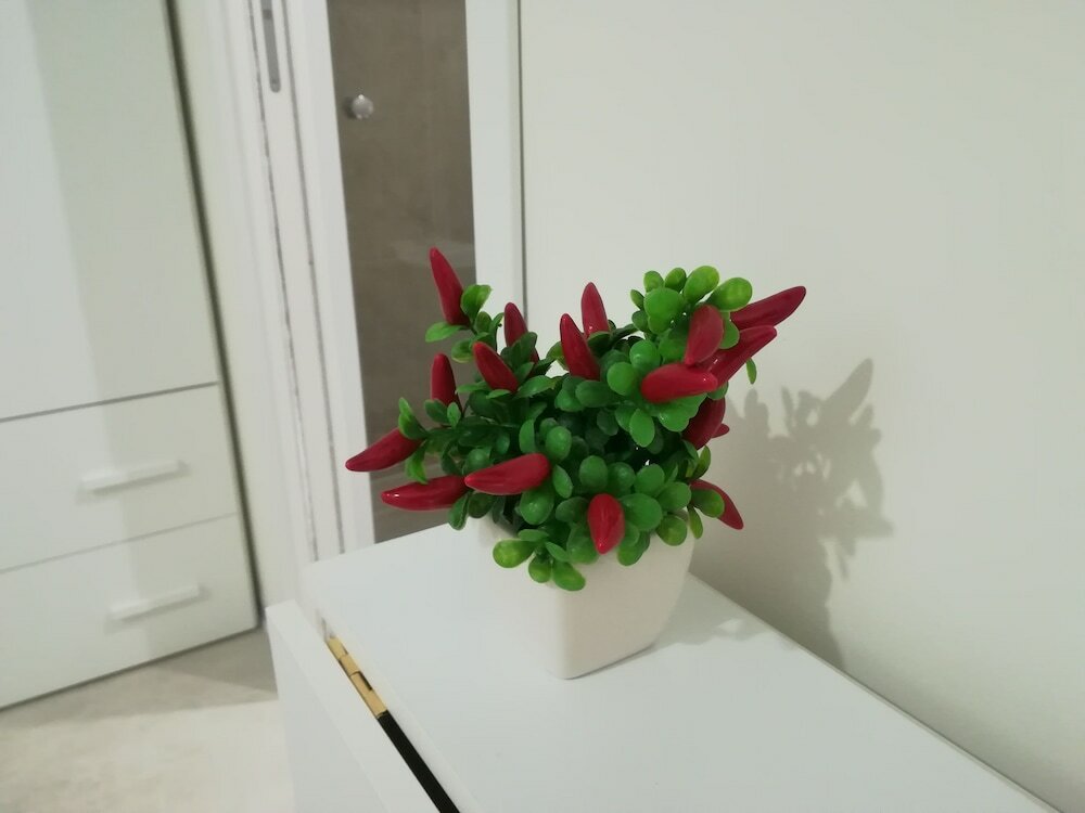 Фото Luxury Guest House VIA Marina