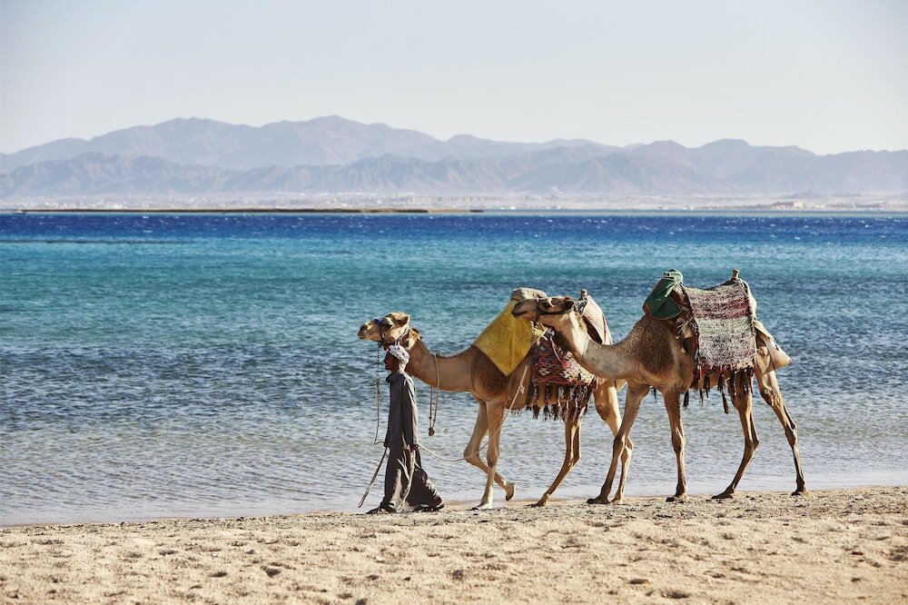 Фото Kempinski Hotel Soma Bay