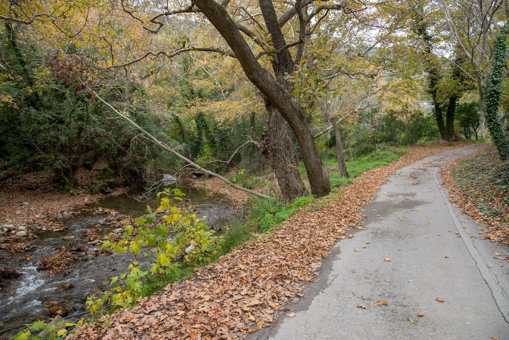 Фото Serenity River Villa