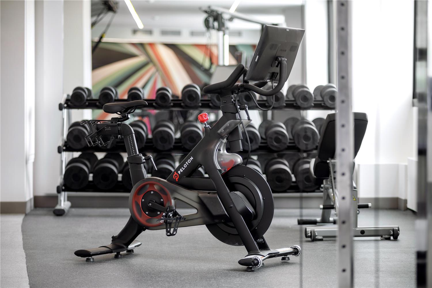 Фото Hilton Garden Inn LAX Los Angeles Airport