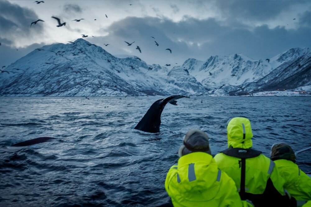 Фото Canyon Hotell