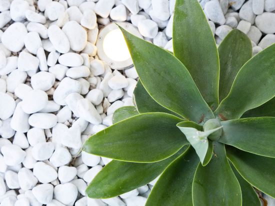 Фото Il Giardino dei Pini