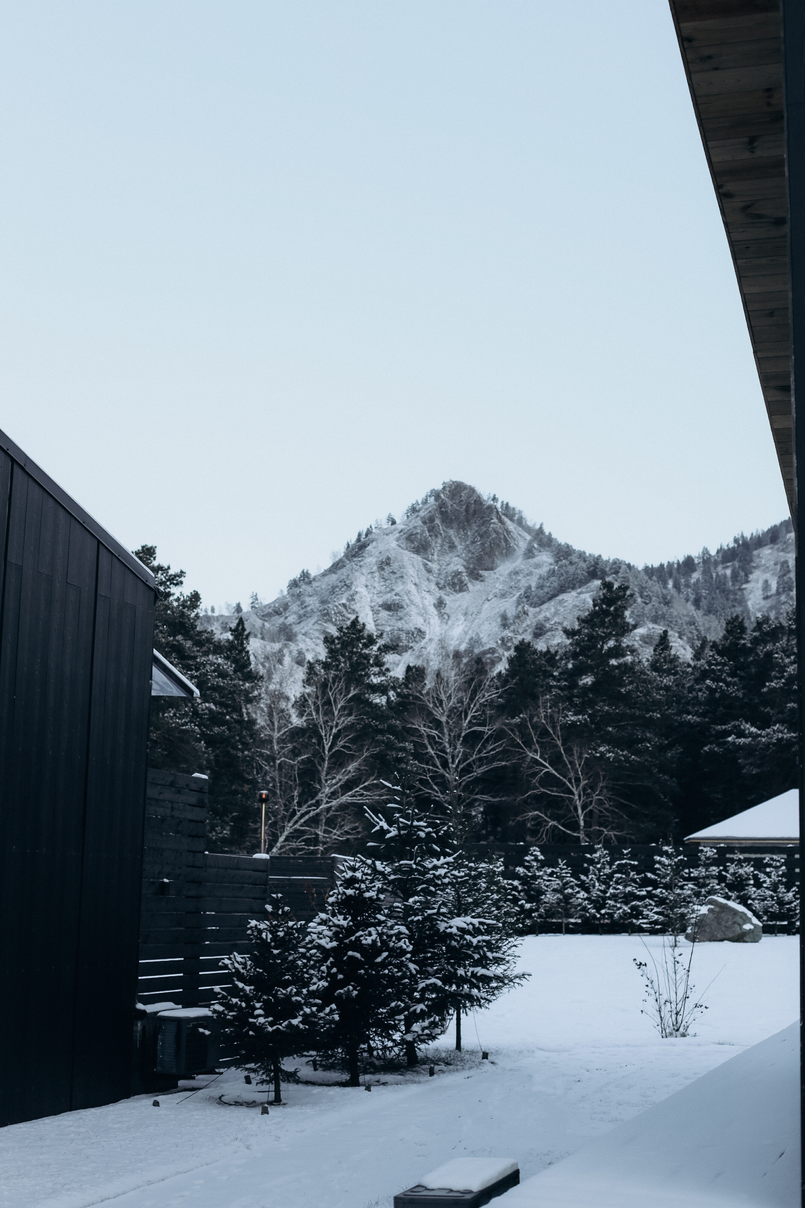 Фото Альпака