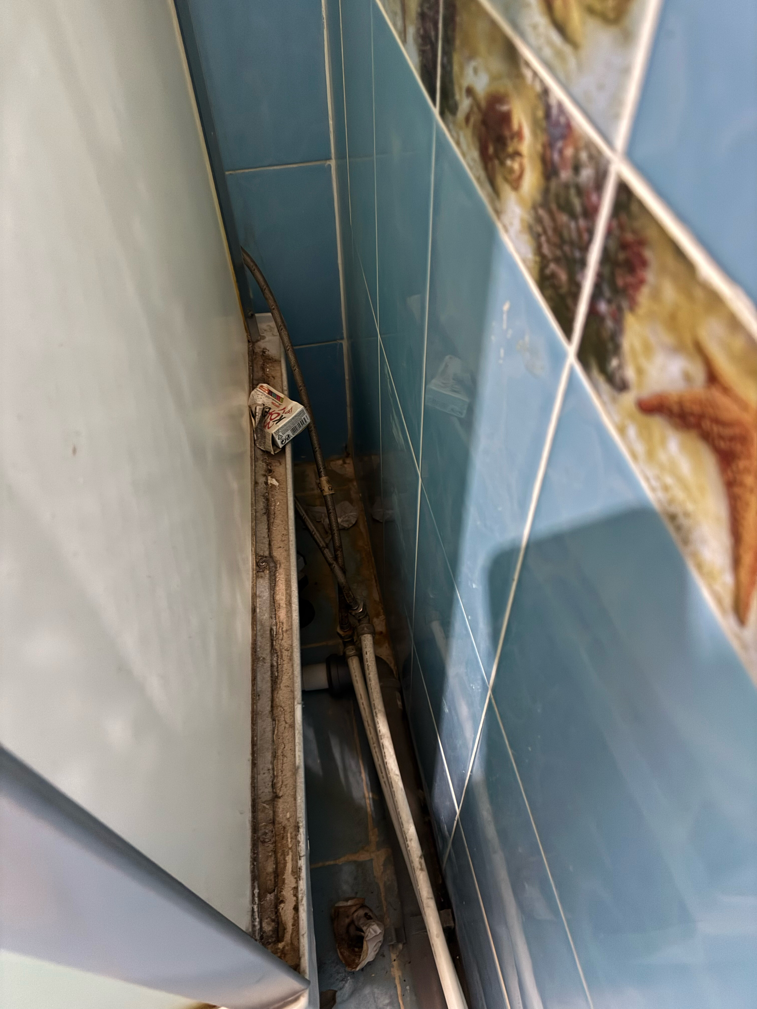 Фото Изумруд