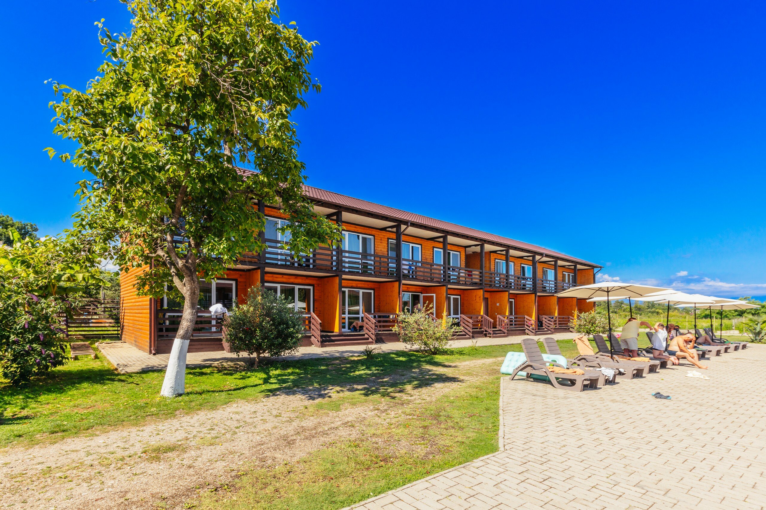 Фото Эко Папа