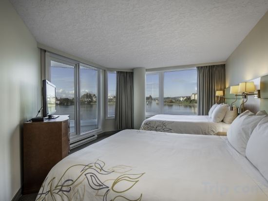 Фото 49138682957