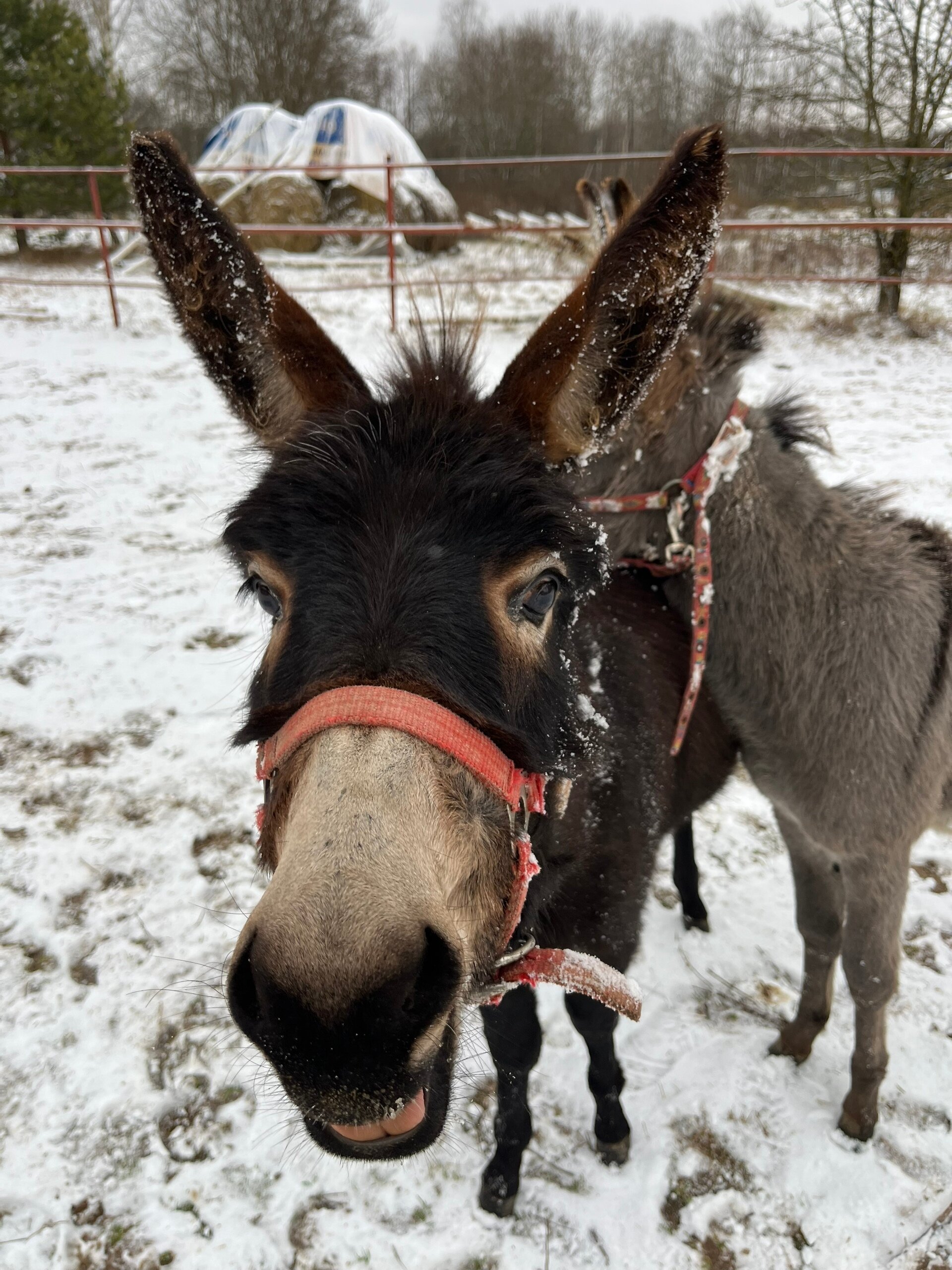 Фото Экопарк Акулово