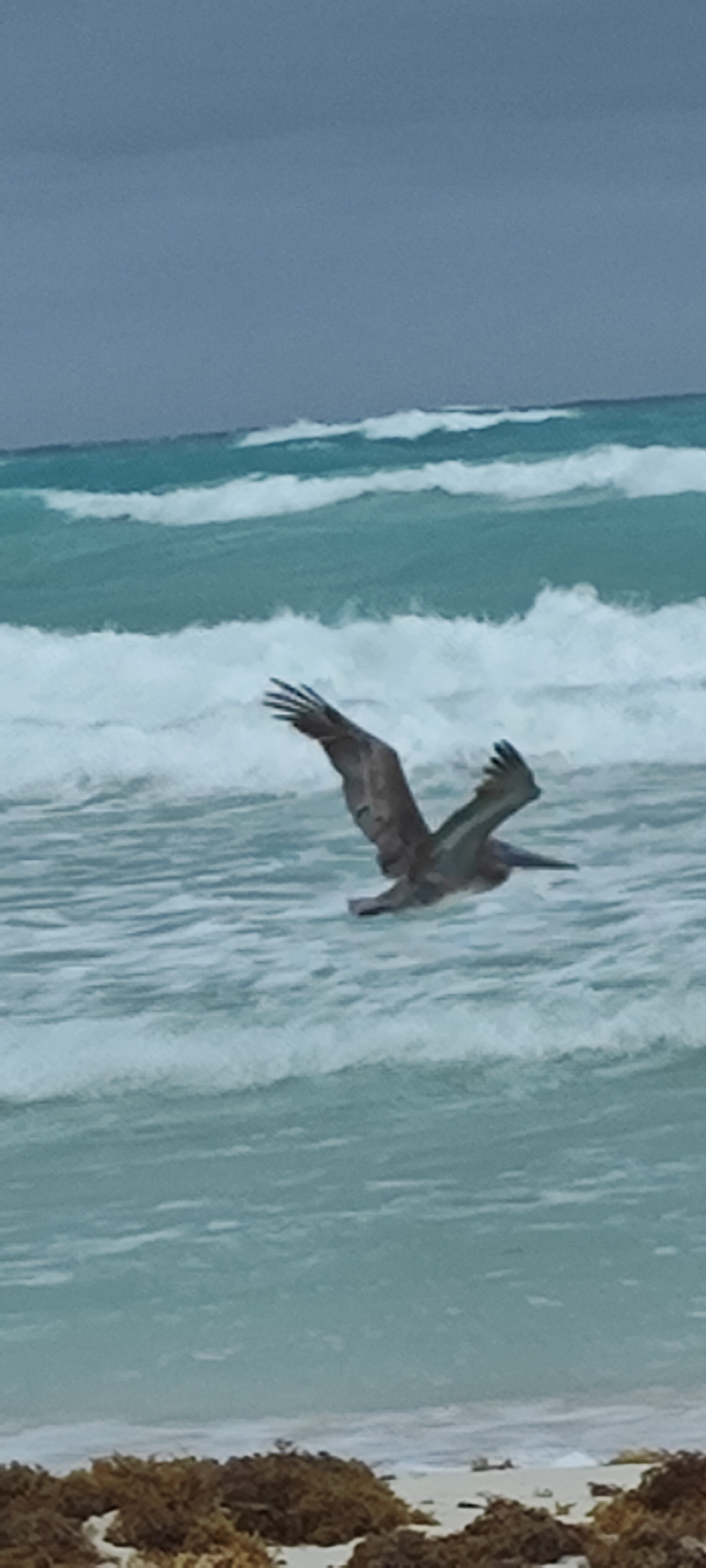 Фото Occidental Arenas Blancas by Barcelo