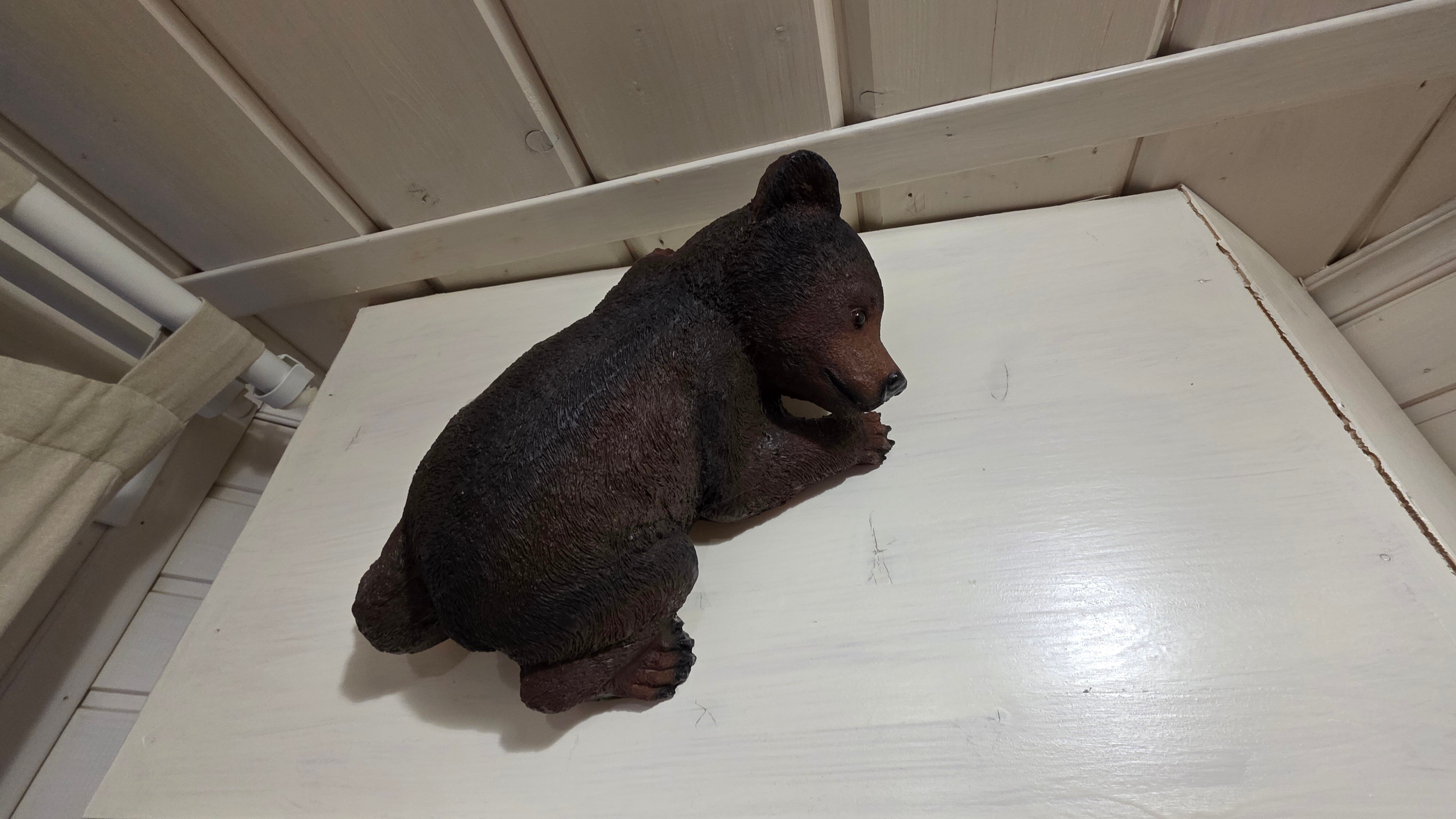 Фото Залесская дача