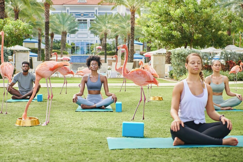 Фото SLS Baha Mar
