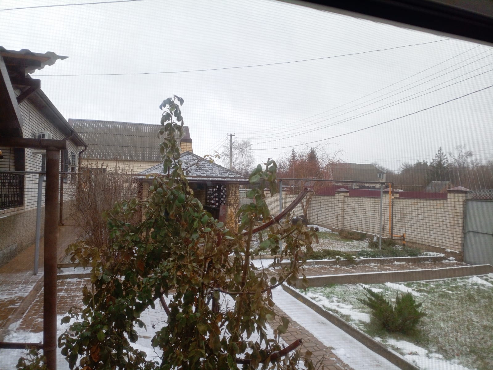 Фото Комфорт