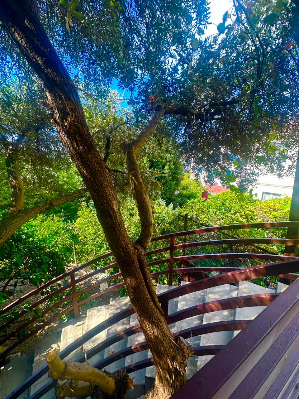 Фото Морские истории 3