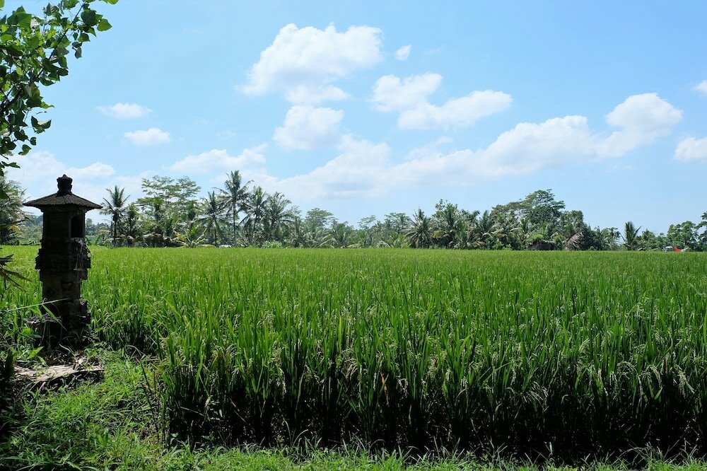 Фото Samkhya Villas