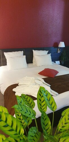 Гостиница Best Western Hotel Alexander Park в Шамбери