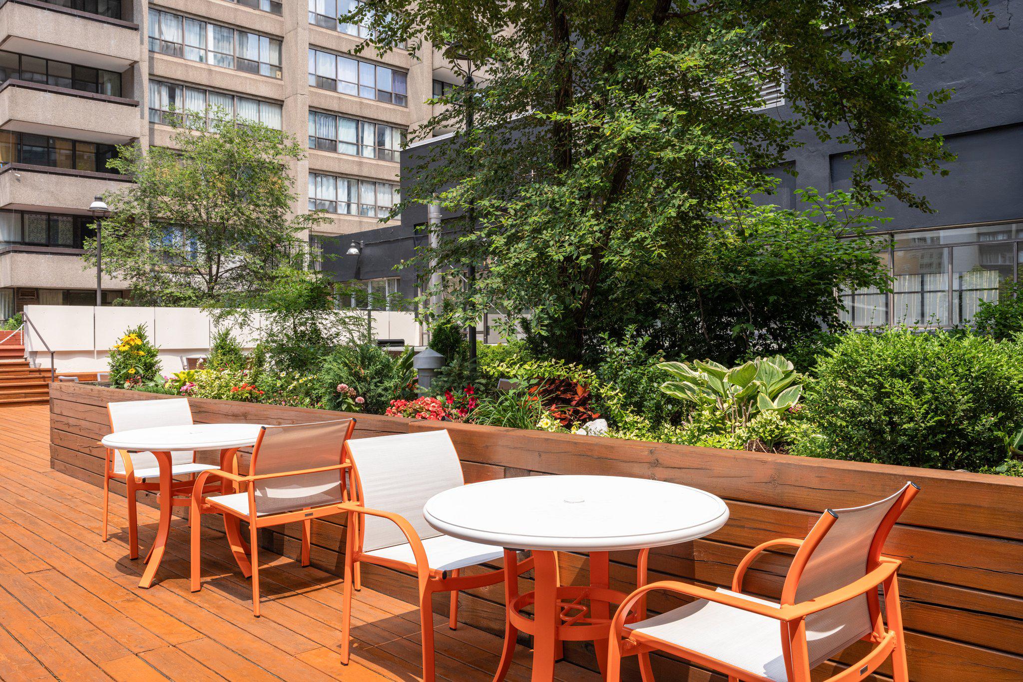 Фото Holiday Inn Toronto Downtown Centre