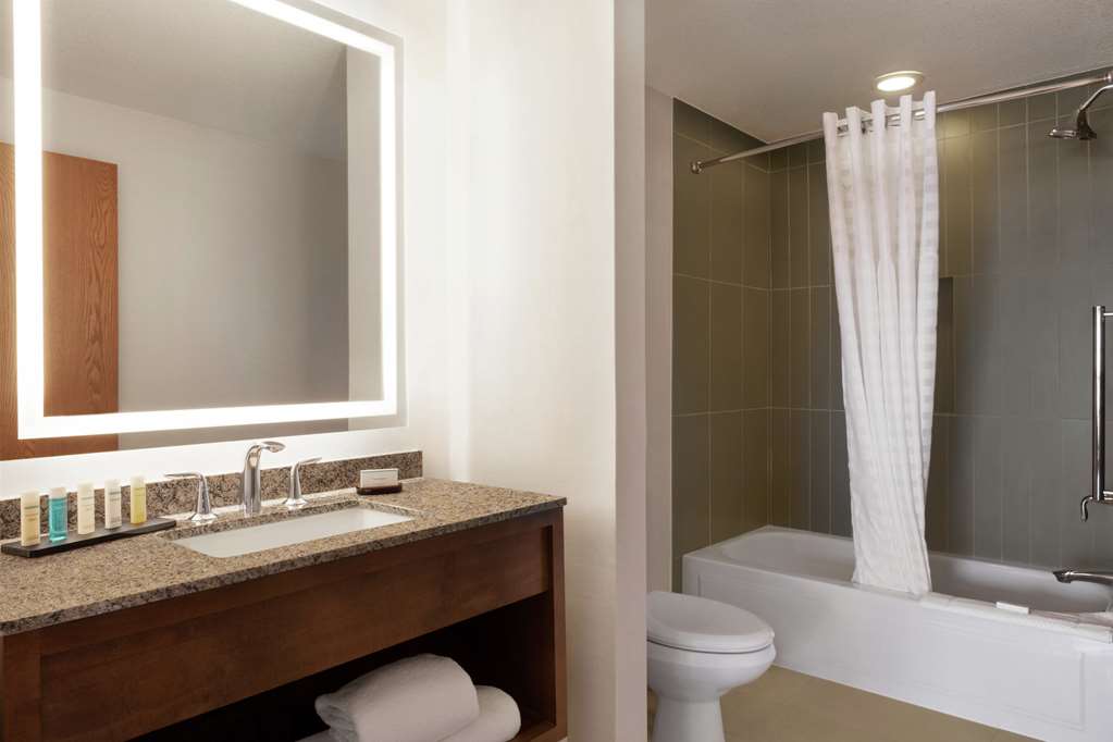Фото Embassy Suites by Hilton Dallas Dfw Airport North