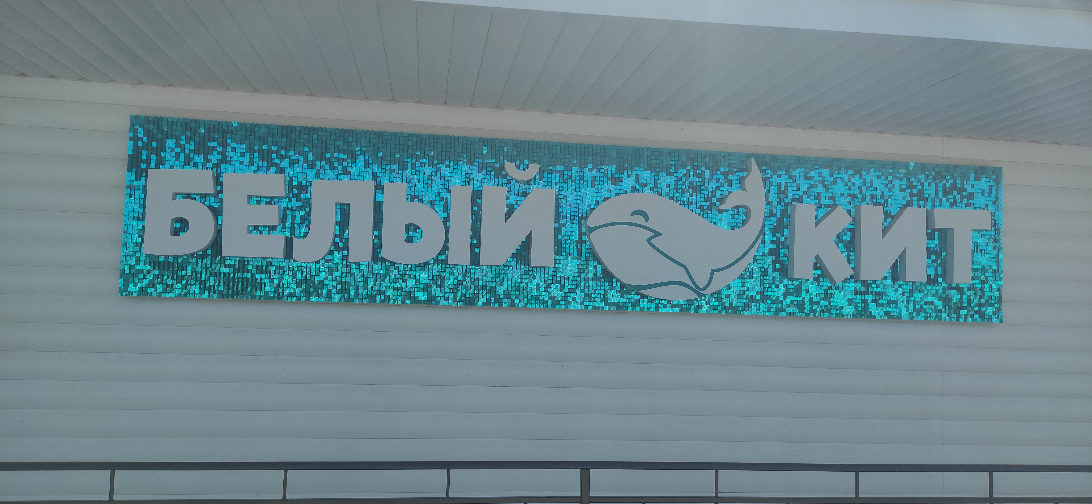 Фото Белый кит