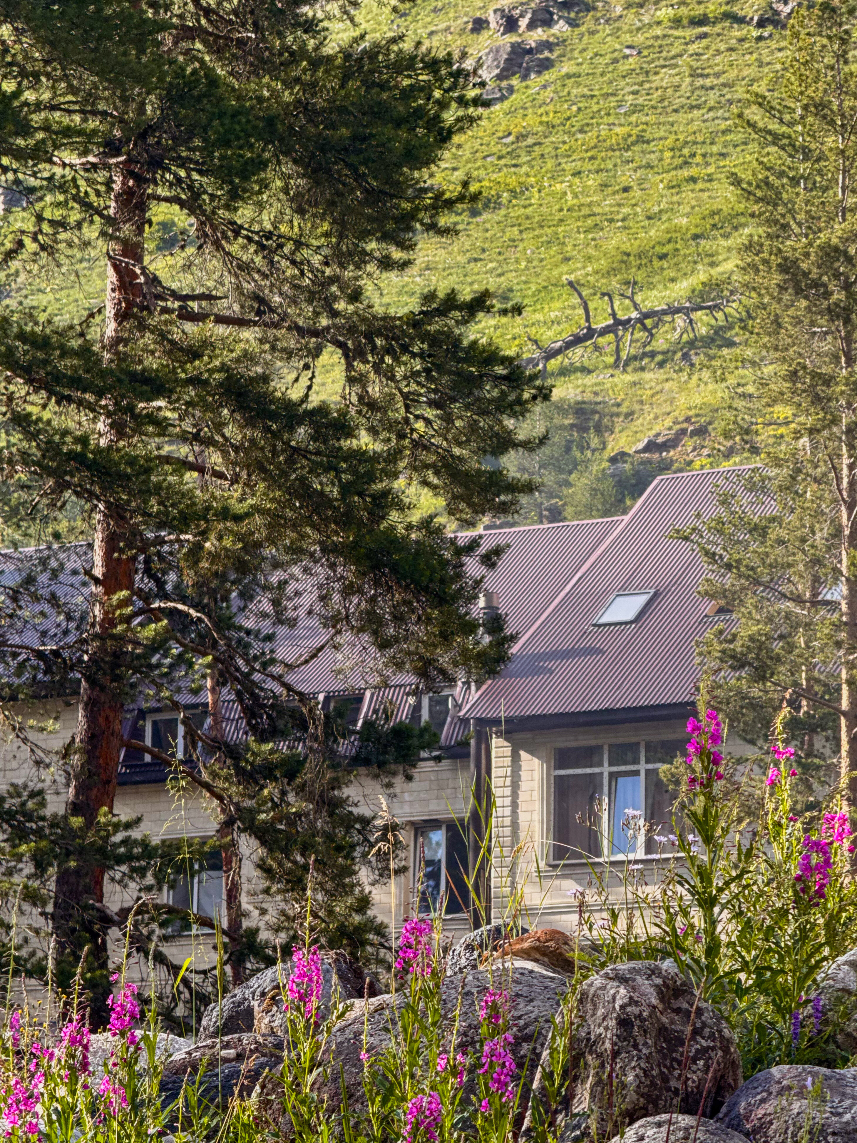 Фото Гостевой дом 2050