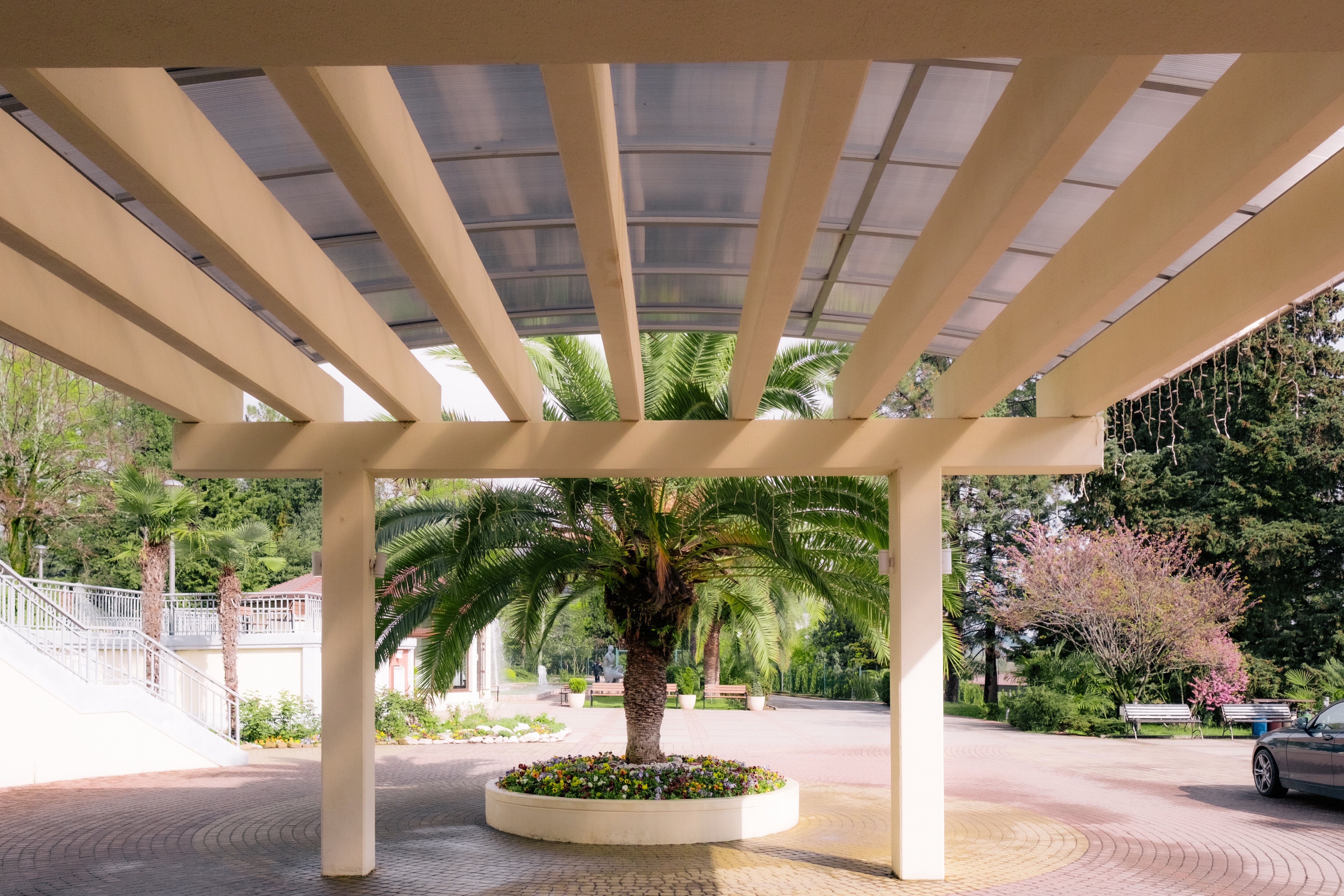 Фото Зелёная роща