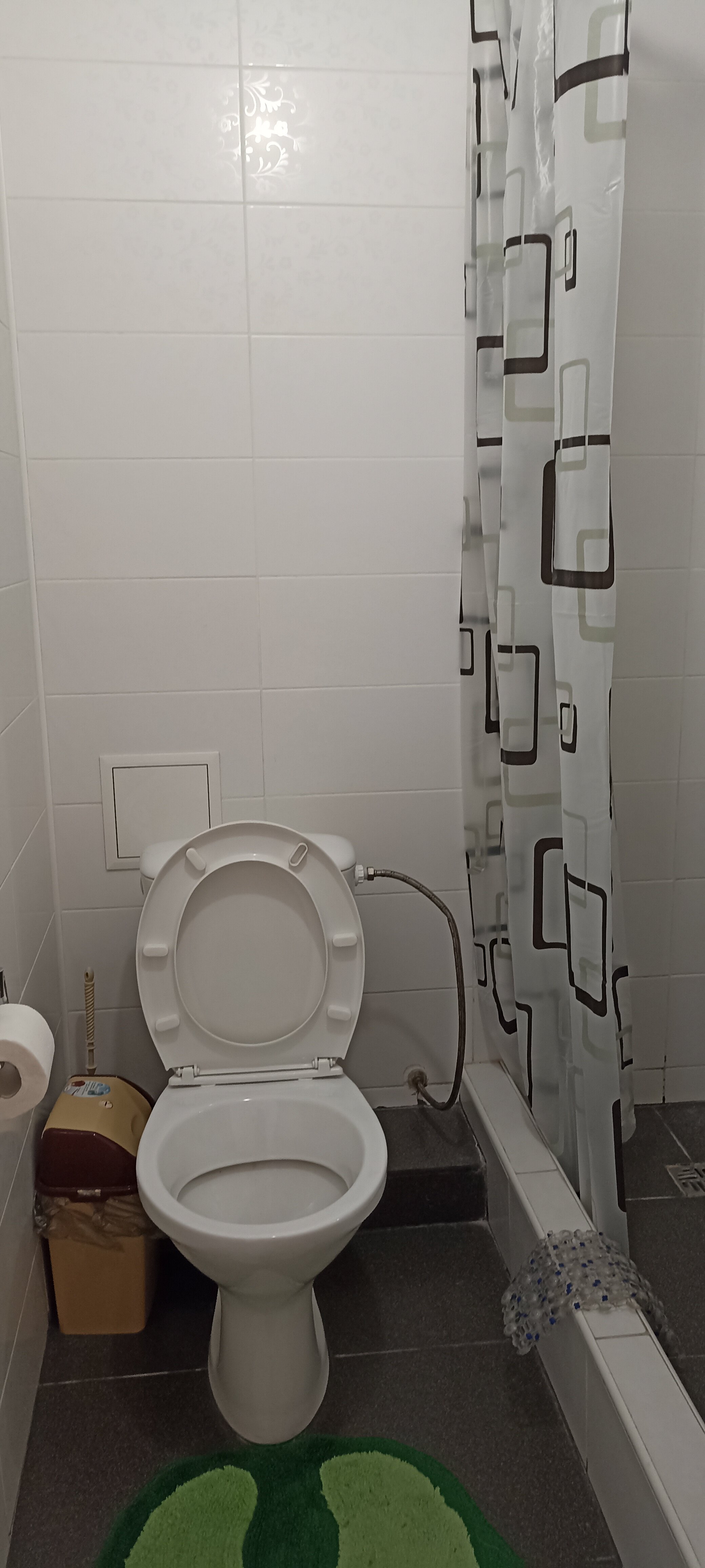 Фото Южный Платан