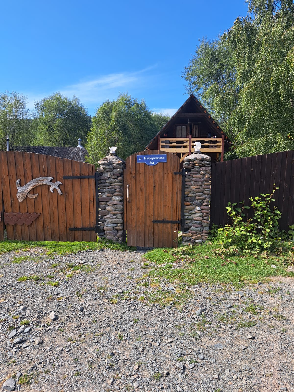 Фото Золотая рыбка