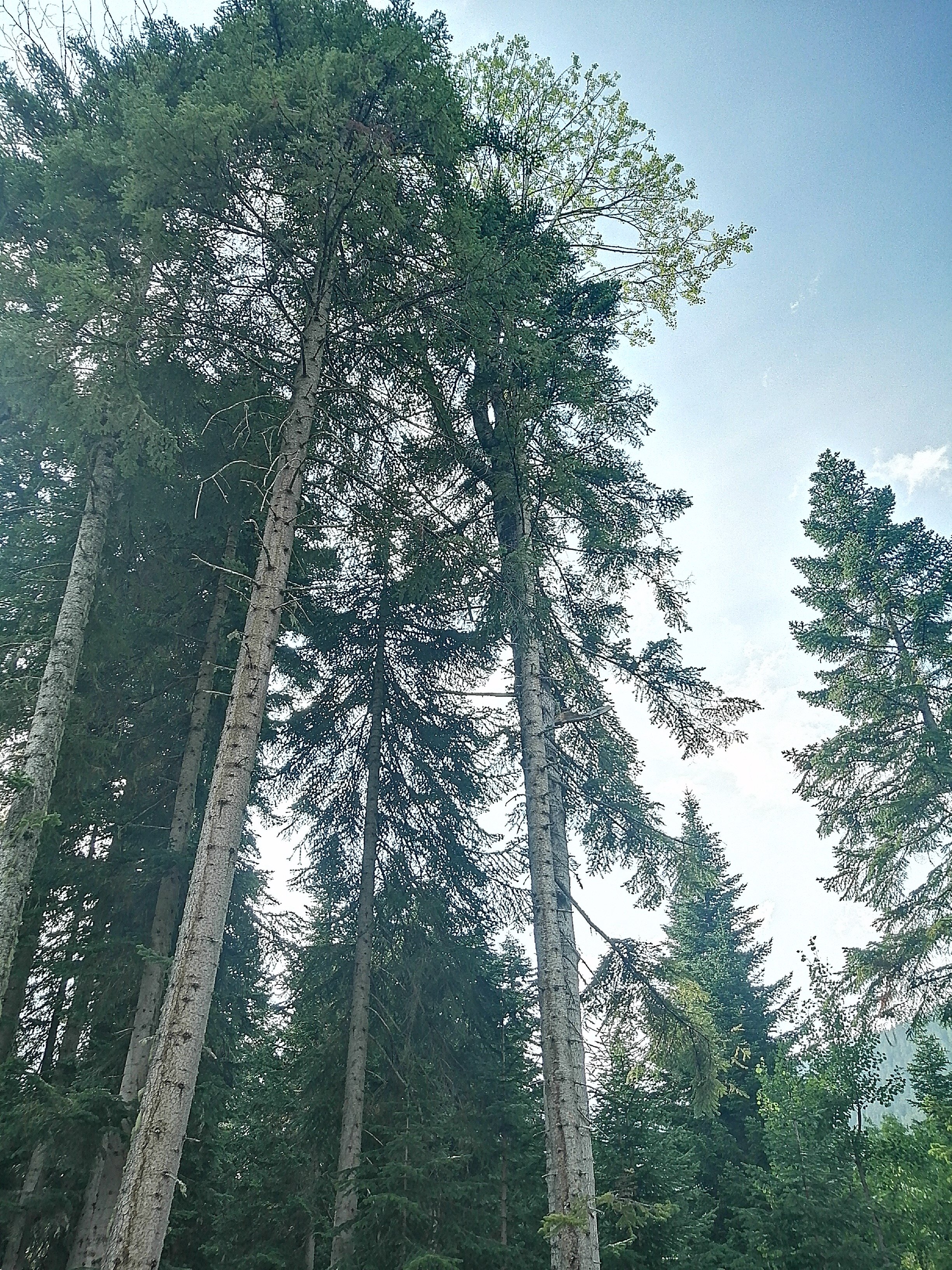 Фото Экотель Кит Шале