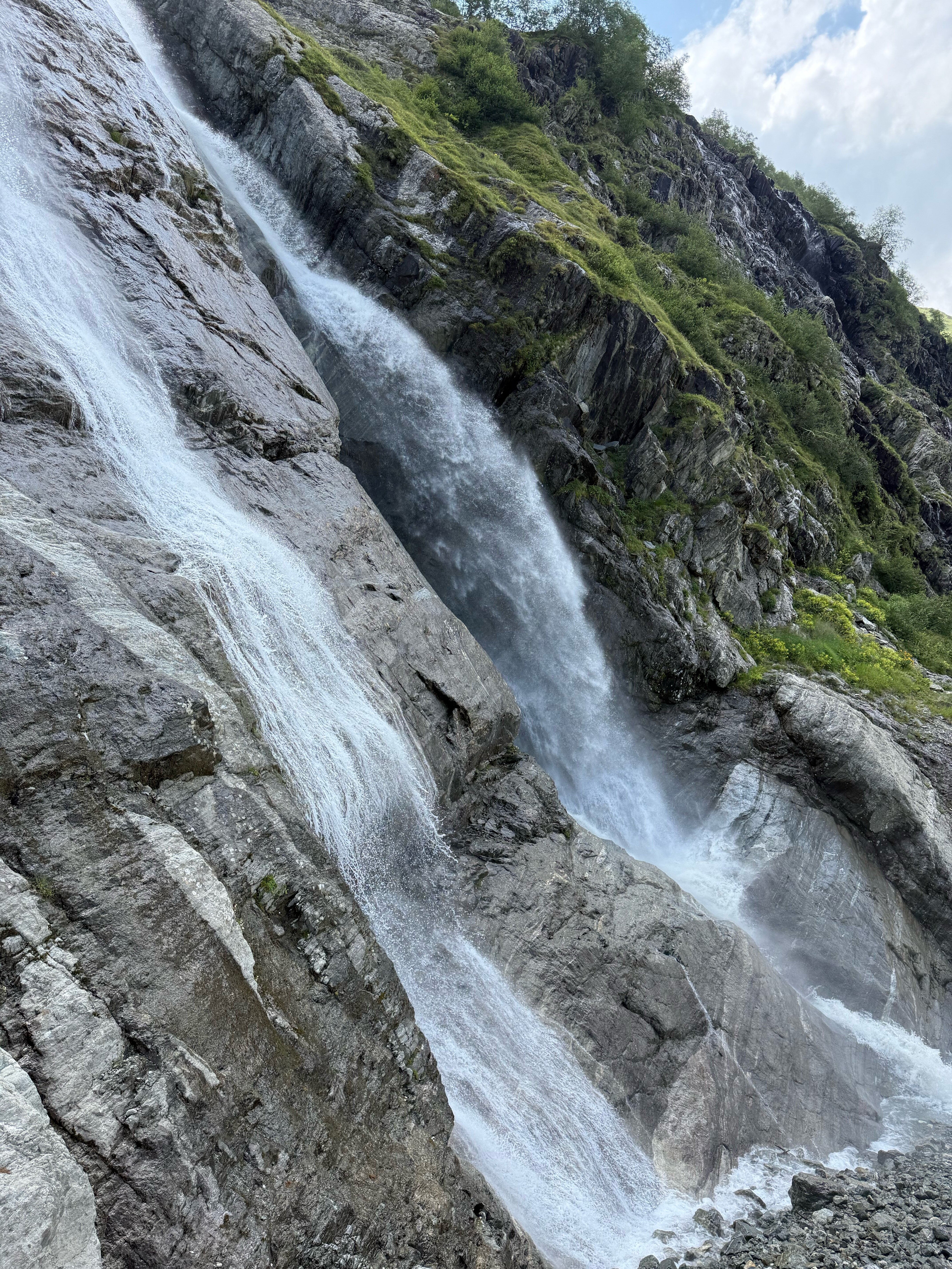 Фото Лесной дом