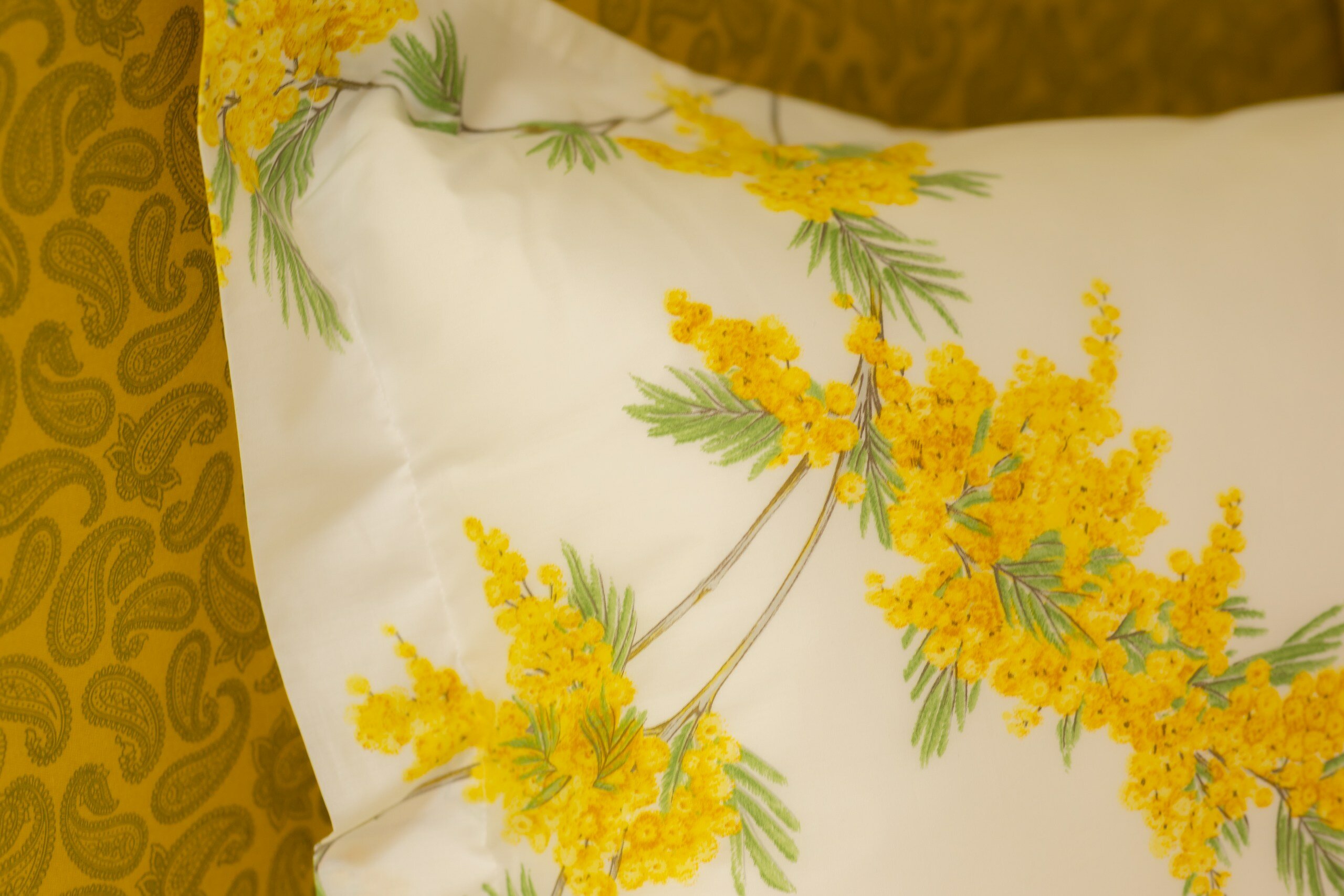 Фото Мятный сад